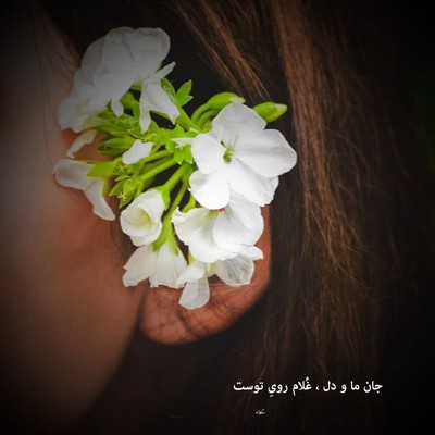 شهرام شب پره بس که غصه ی تورو خوردم